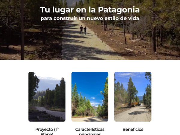 Pantalla 1